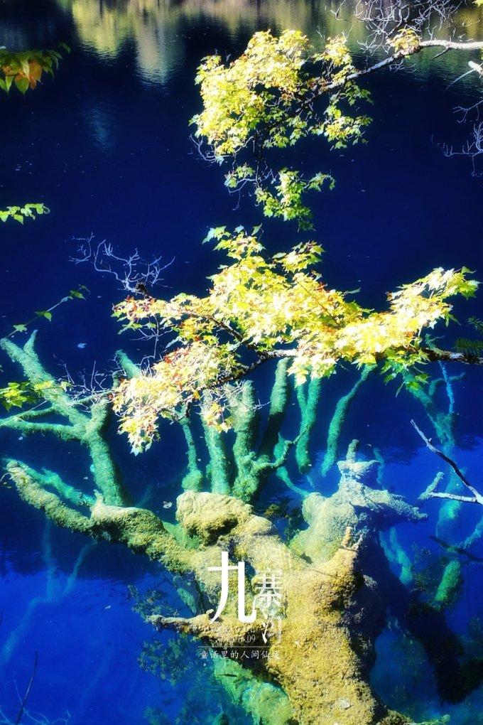 行测常识判断备考要熟识民族风俗