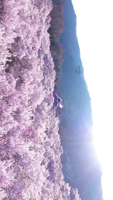 谋杀：灵魂疑犯