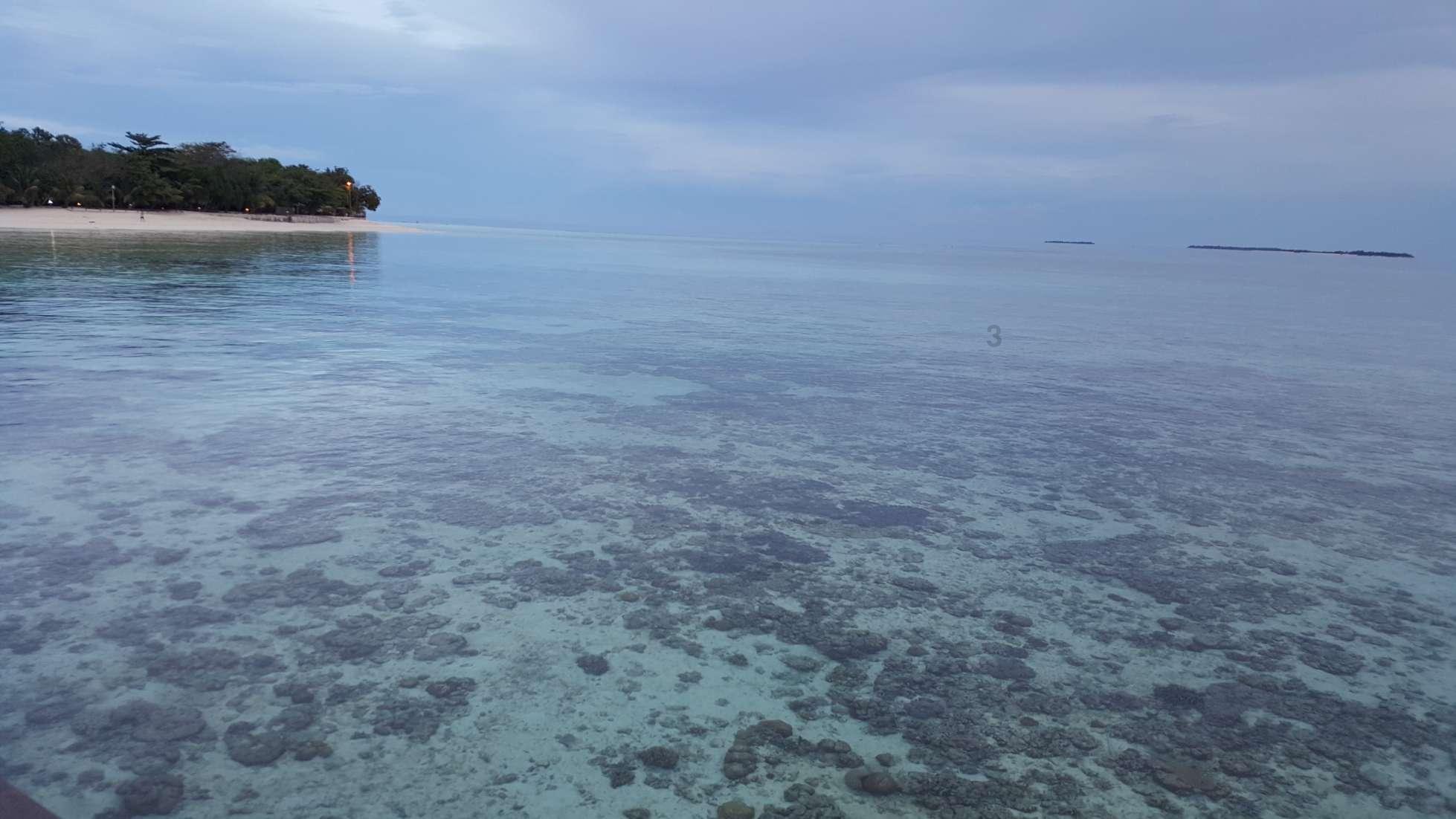 琼州海峡迎来客流高峰,海南海口:增加检票口,新海港18个泊位投入使用