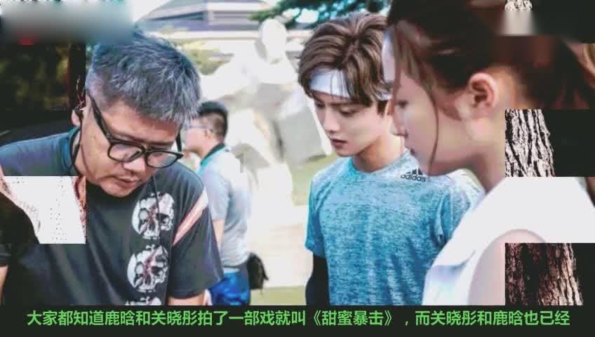 疯狂球球极限求生