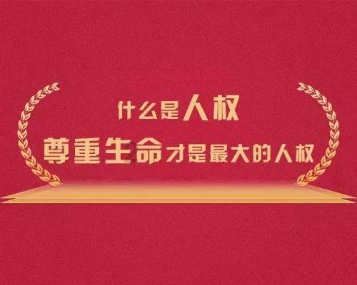 探索问答乐园—请问网友,这是什么植物?谢谢回答!蜗牛问答平台