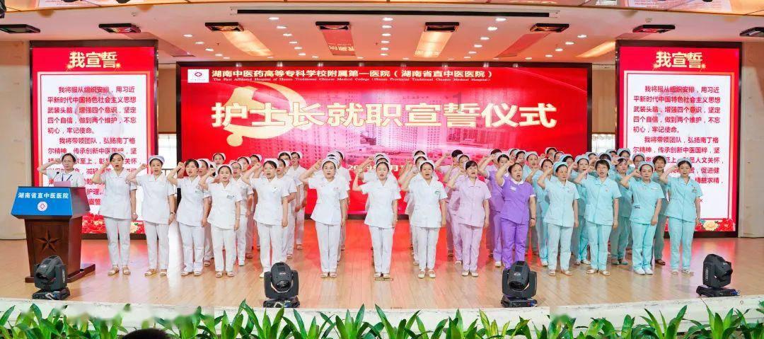 猫抓的划痕哪条最长？游戏画面