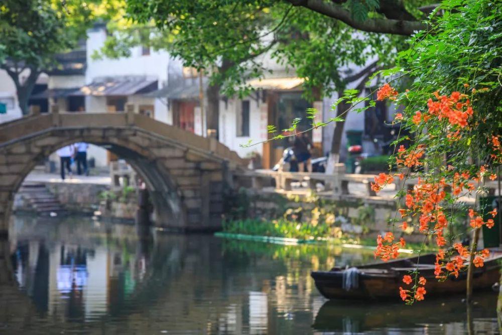 除虫大师